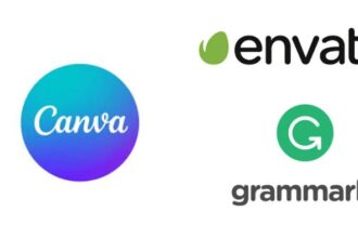 envato grammarly canva package